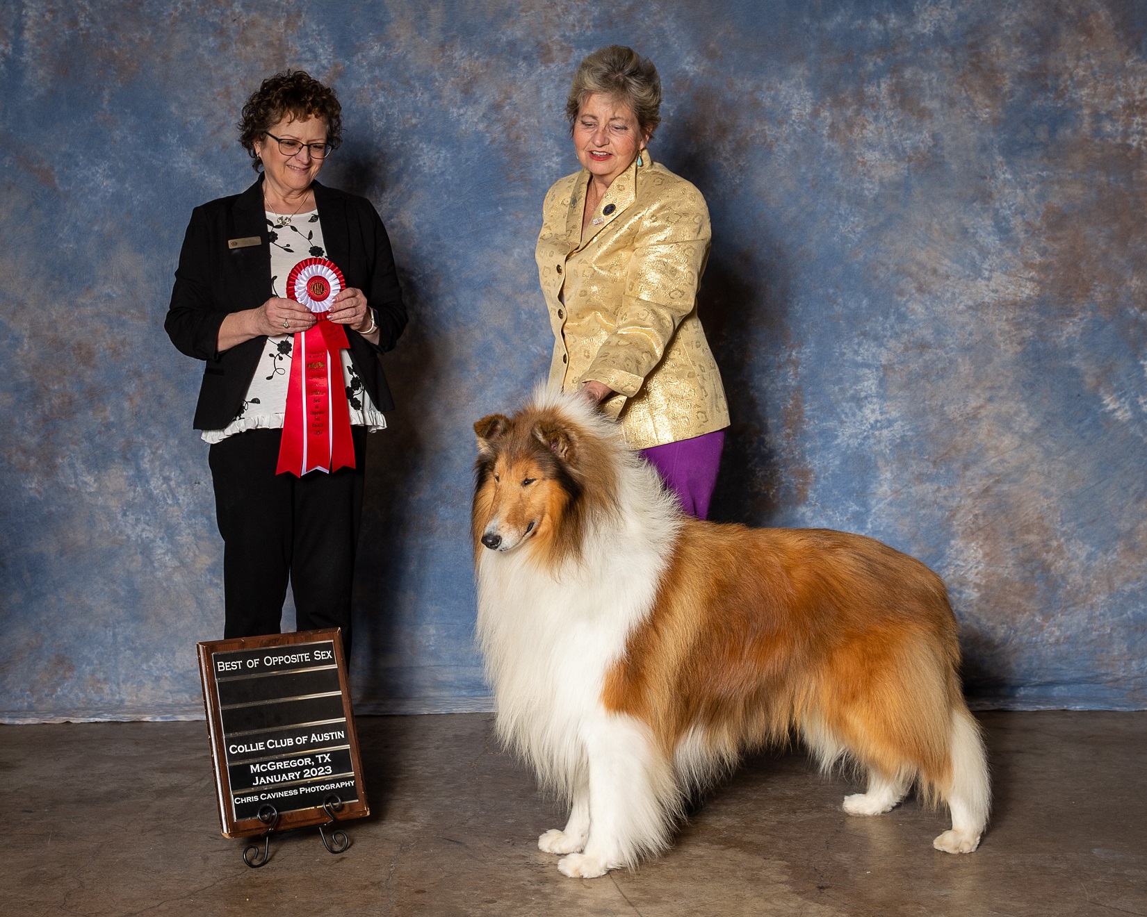 Show Fun – Tairis Collies